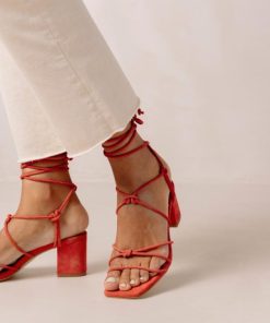 Theshoecabinet.shop014bee9709 4
