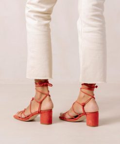 Theshoecabinet.shop014bee9709 5