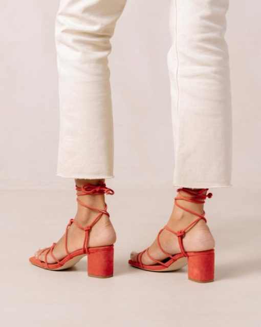 Theshoecabinet.shop014bee9709 5