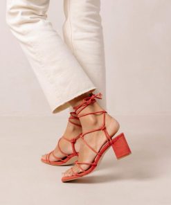 Theshoecabinet.shop014bee9709 6
