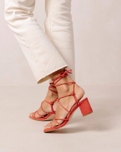 Theshoecabinet.shop014bee9709 6