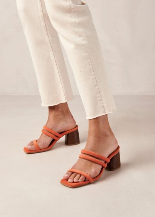 Theshoecabinet.shop07c29545ff 4