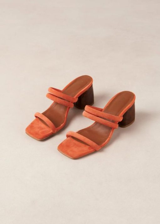 Theshoecabinet.shop07c29545ff 5