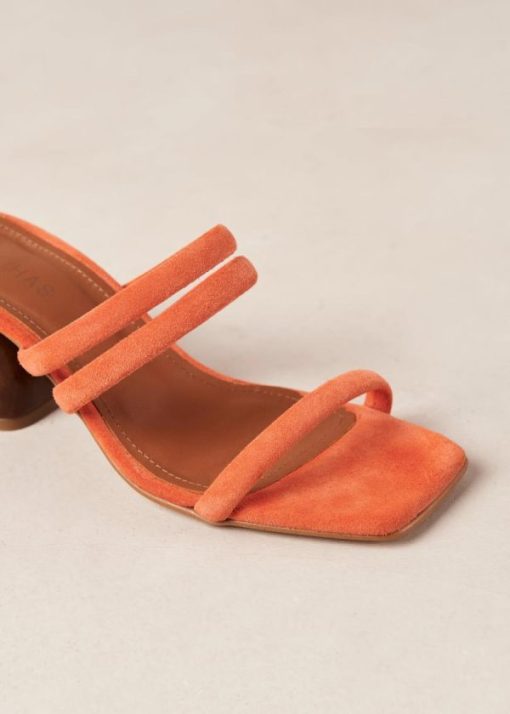 Theshoecabinet.shop07c29545ff 6