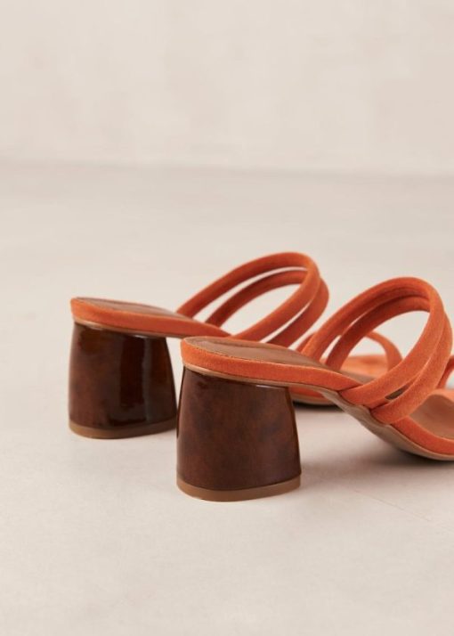 Theshoecabinet.shop07c29545ff 7