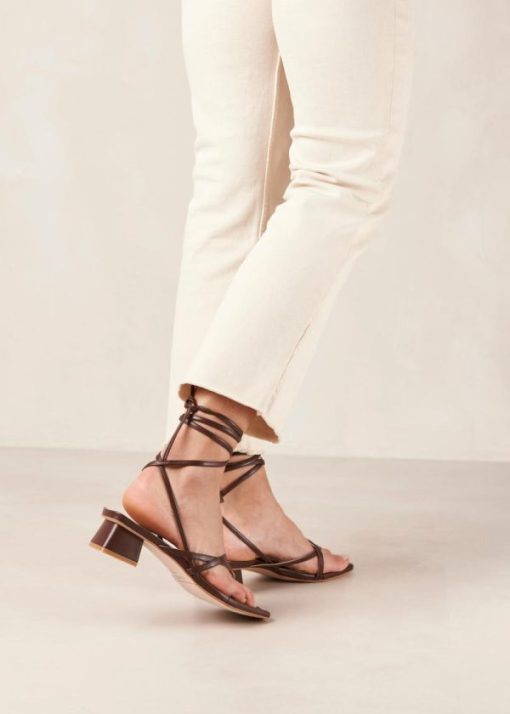 Theshoecabinet.shop0eb45922cb 1