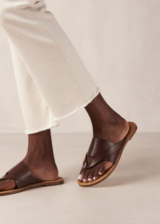 Theshoecabinet.shop100ff20696 1