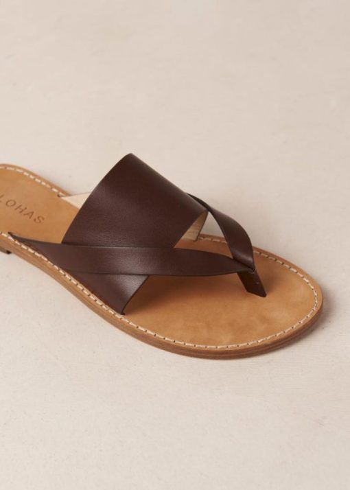 Theshoecabinet.shop100ff20696 6