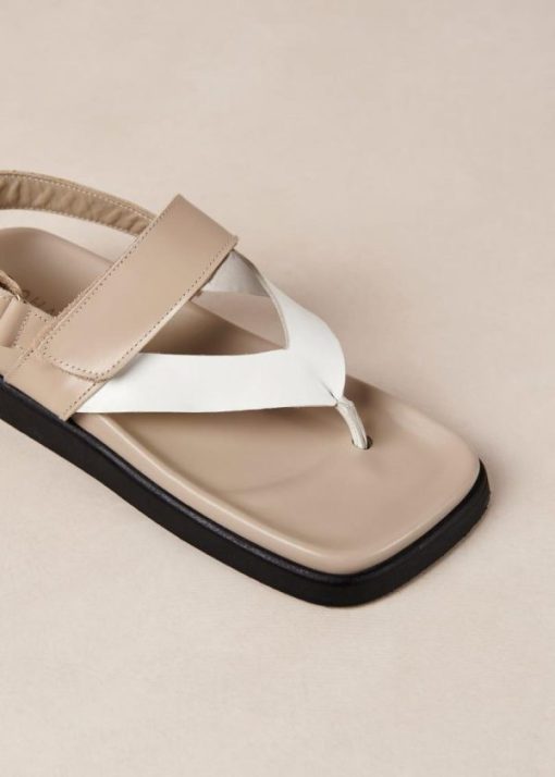 Theshoecabinet.shop1600b528ba 7