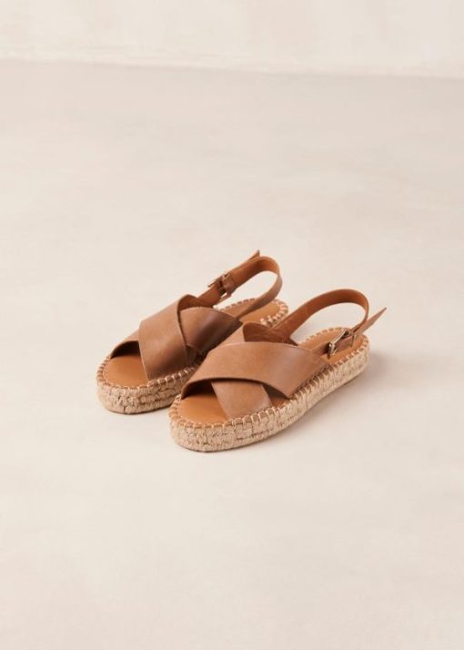 Theshoecabinet.shop24292a71fb 6