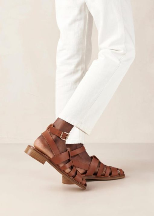 Theshoecabinet.shop26c2b10000 1