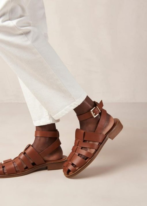 Theshoecabinet.shop26c2b10000 4