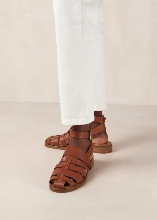 Theshoecabinet.shop26c2b10000 5