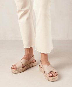 Theshoecabinet.shop2f4cdac0e5 1