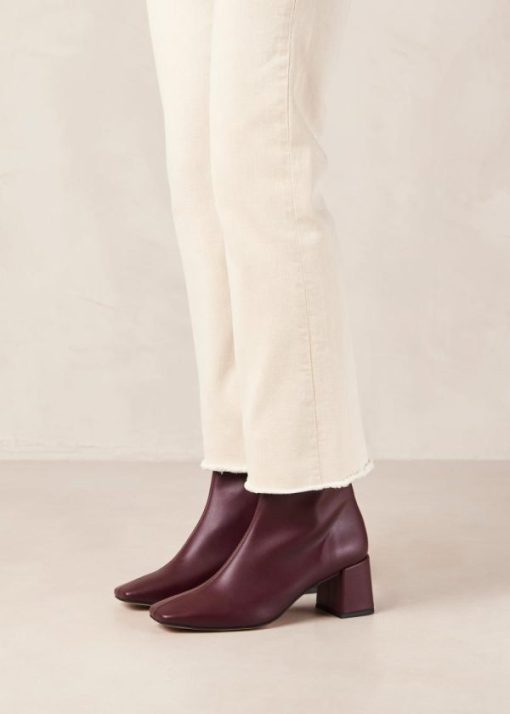 Theshoecabinet.shop314cab4e81 3