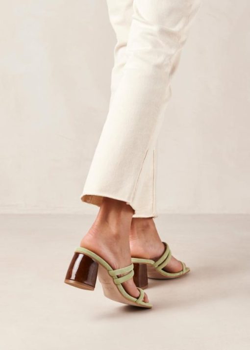 Theshoecabinet.shop31e7e23186 1