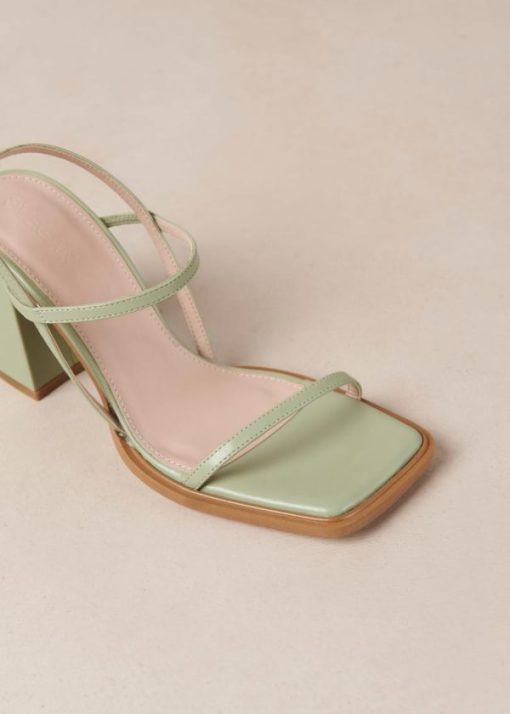 Theshoecabinet.shop4456e224d8 2