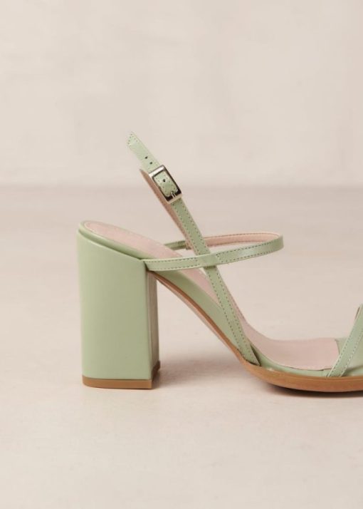 Theshoecabinet.shop4456e224d8 3
