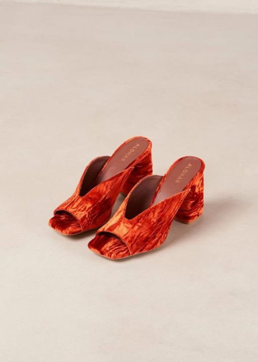 Theshoecabinet.shop462e365038 5