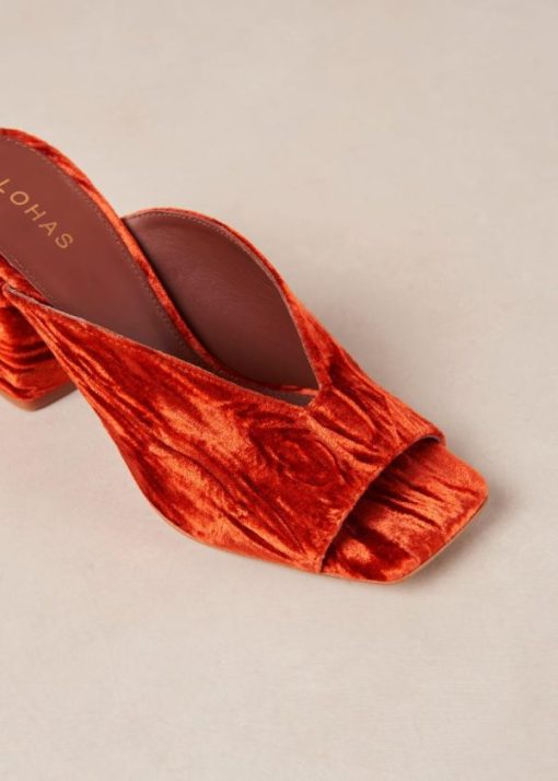 Theshoecabinet.shop462e365038 6