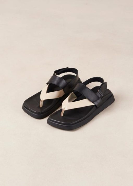Theshoecabinet.shop4b77e4dd86 6