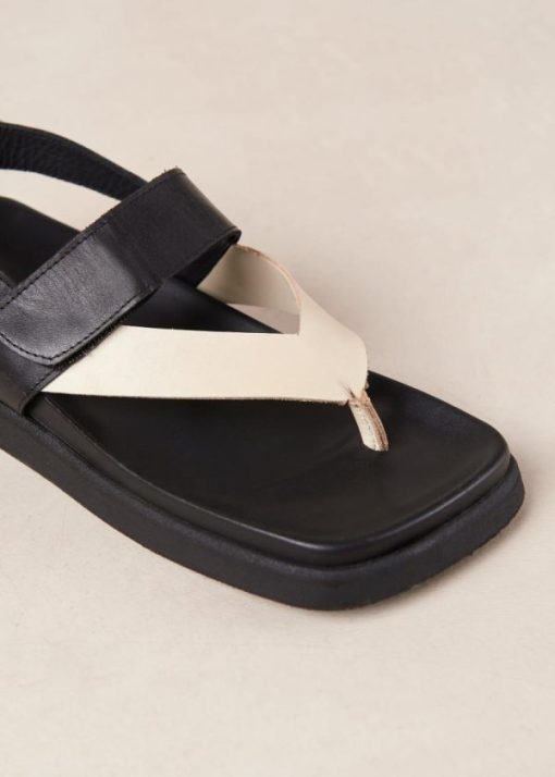Theshoecabinet.shop4b77e4dd86 7