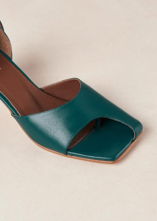 Theshoecabinet.shop5fc1b0a8d3 3
