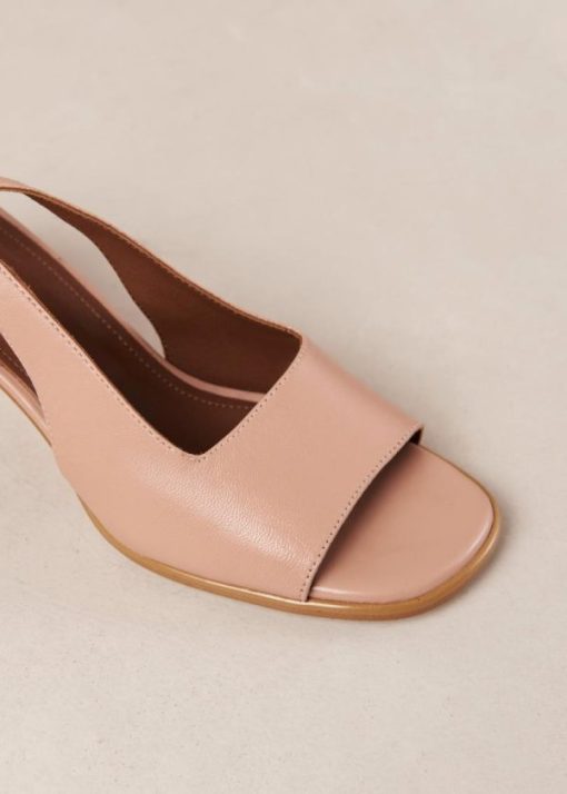Theshoecabinet.shop62e3b3e025 6
