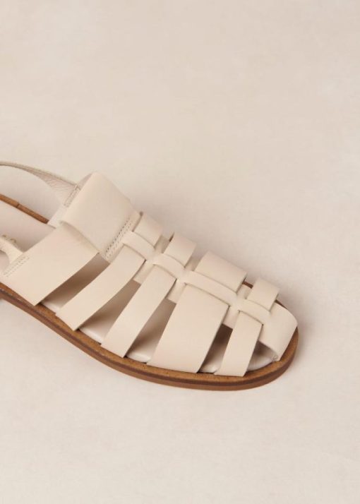 Theshoecabinet.shop68bc45f3a3 6