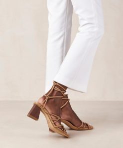 Theshoecabinet.shop6c763484a9 4