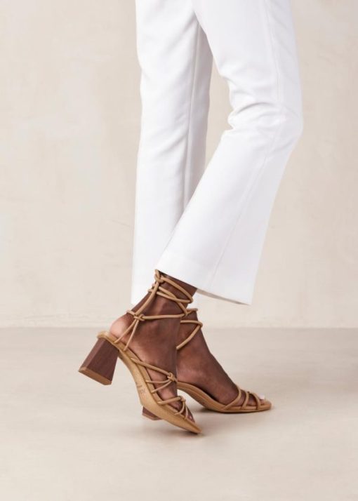 Theshoecabinet.shop6c763484a9 4