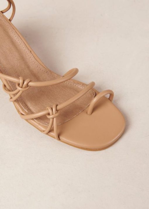 Theshoecabinet.shop6c763484a9 7