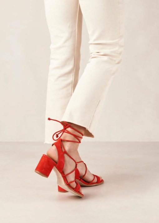 Theshoecabinet.shop73d68eddbf 1