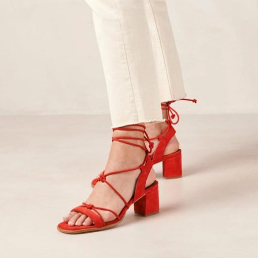 Theshoecabinet.shop73d68eddbf 2