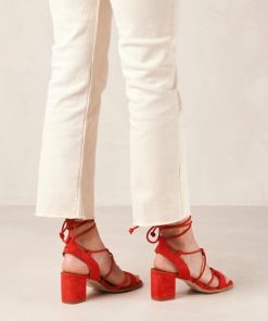 Theshoecabinet.shop73d68eddbf 4