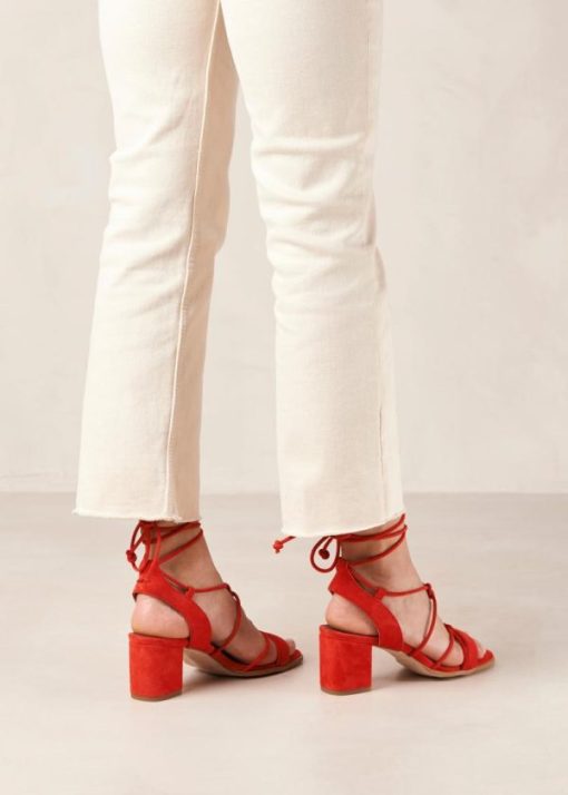 Theshoecabinet.shop73d68eddbf 4