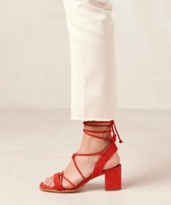Theshoecabinet.shop73d68eddbf 5