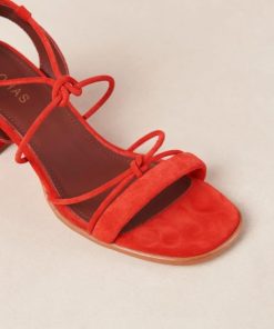 Theshoecabinet.shop73d68eddbf 7