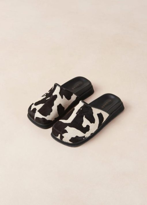 Theshoecabinet.shop73d7360af8 6