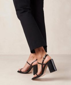 Theshoecabinet.shop7599721cb9 1