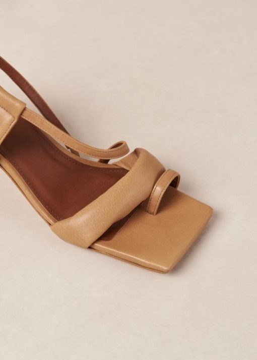 Theshoecabinet.shop790b11c1d3 8