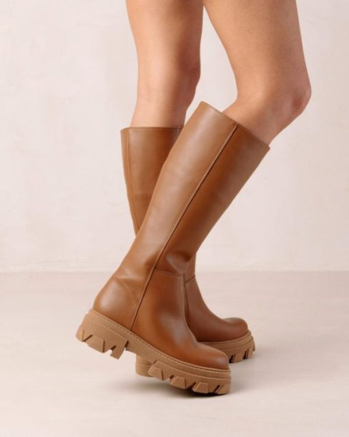Theshoecabinet.shop7a858f1d48 1