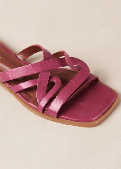 Theshoecabinet.shop807e1f67e2 6
