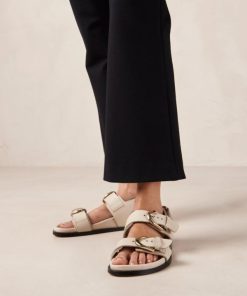Theshoecabinet.shop87c942c340 3