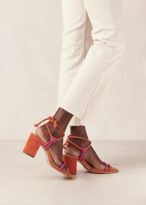 Theshoecabinet.shop8d279c1083 1