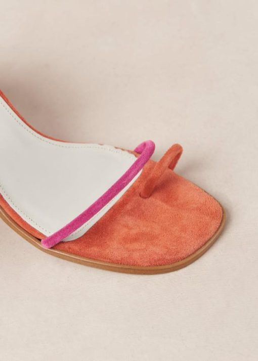 Theshoecabinet.shop8d279c1083 6