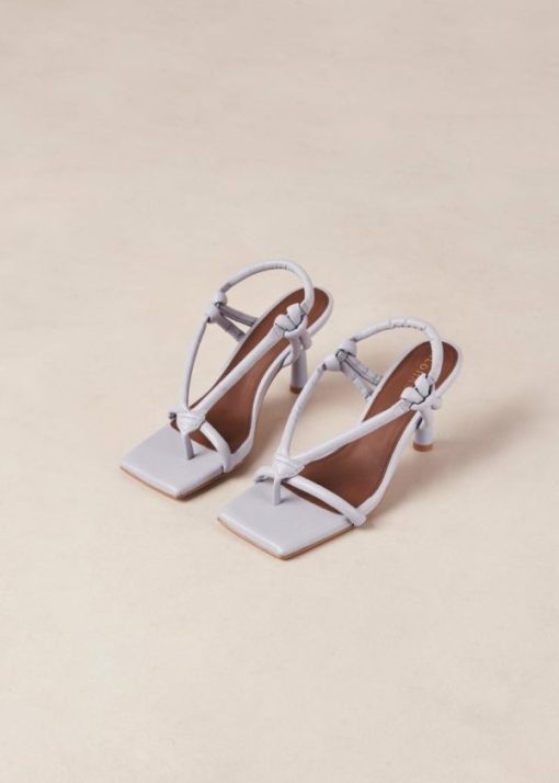 Theshoecabinet.shop8e033efed3 3