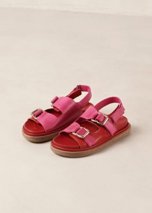 Theshoecabinet.shop8fc4f3e0d6 1