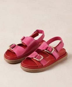 Theshoecabinet.shop8fc4f3e0d6 2