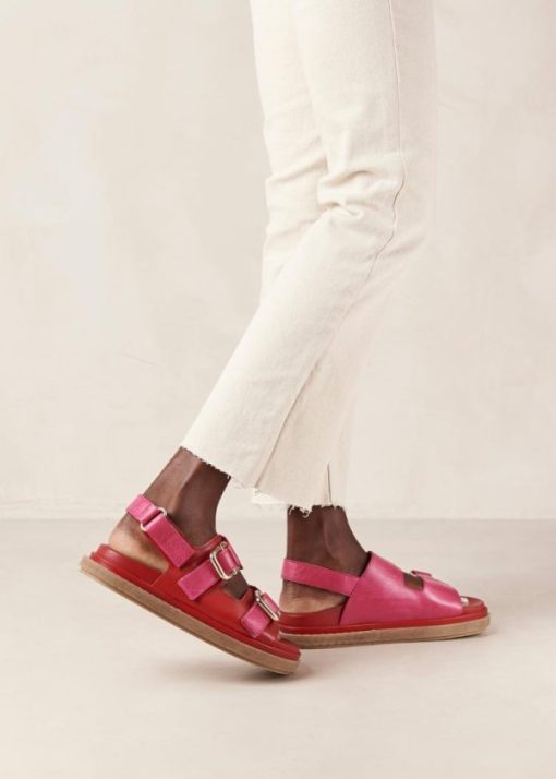 Theshoecabinet.shop8fc4f3e0d6 6